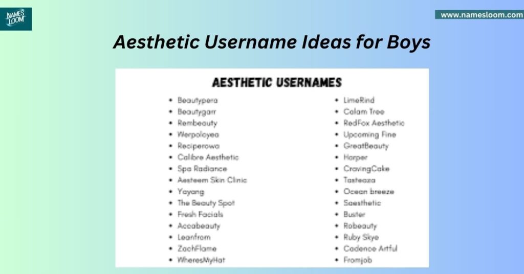 Aesthetic Username Ideas for Boys