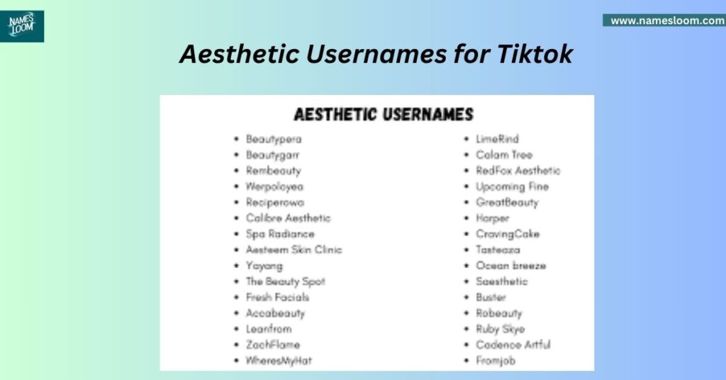 Aesthetic Usernames for Tiktok