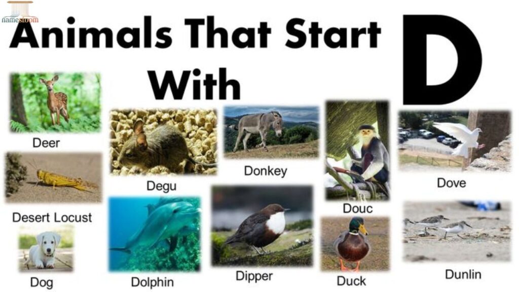 Animals That Start With D (With Descriptions)