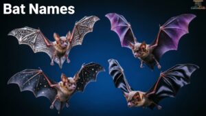 Bat Names