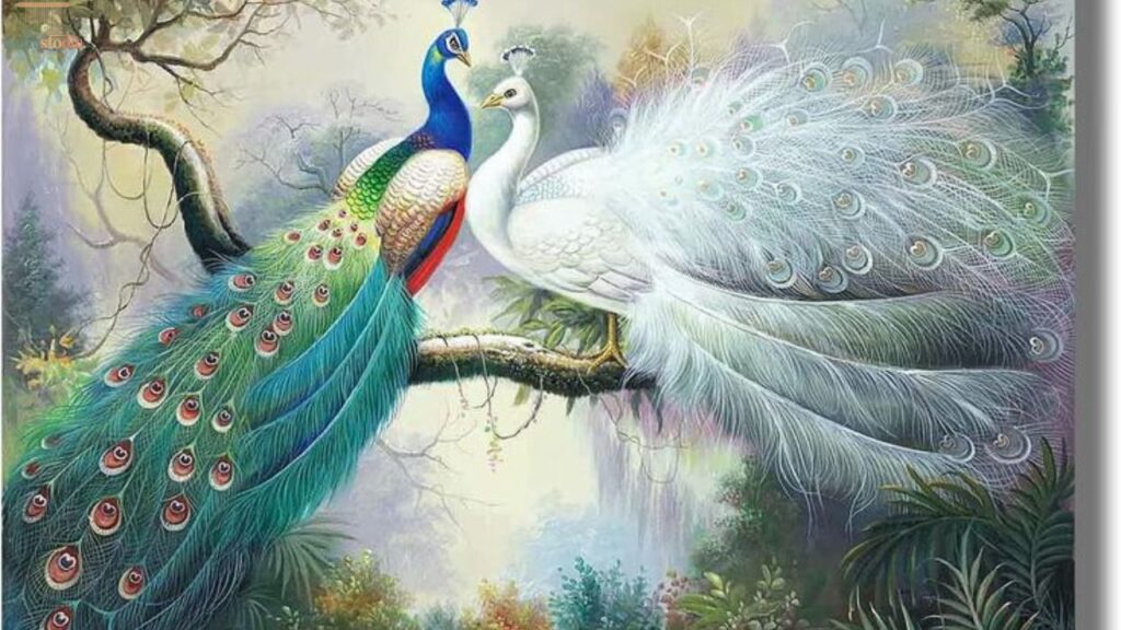 Couple Peacock Names (Perfect for Pairs)