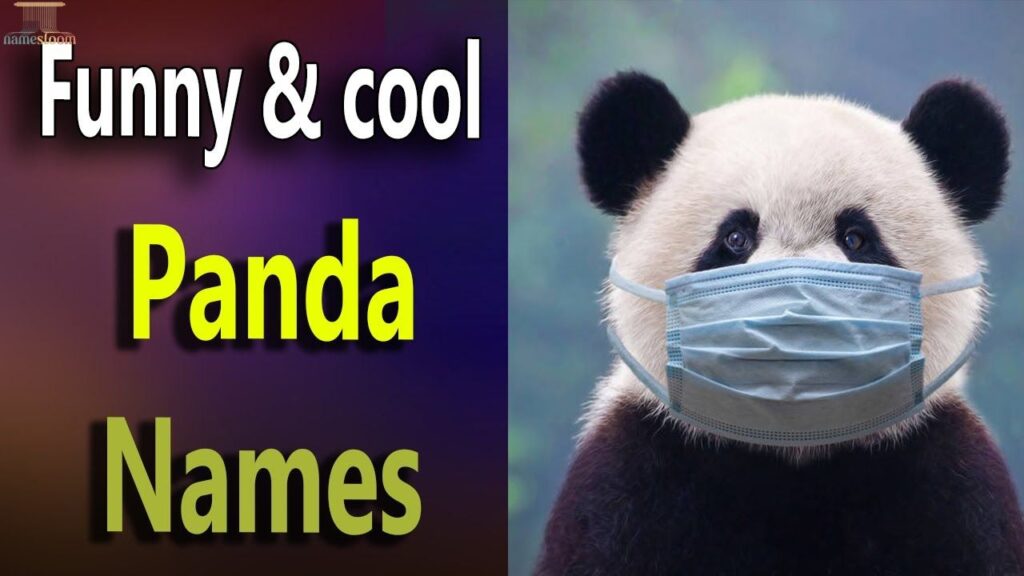 Funny Panda Names