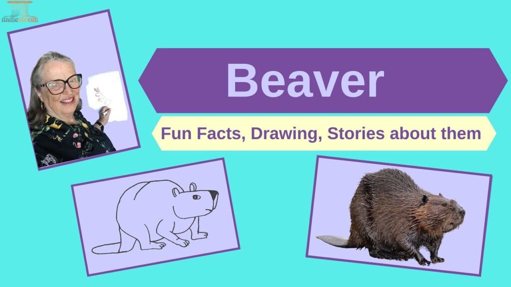 Historical & Mythical Beaver Names