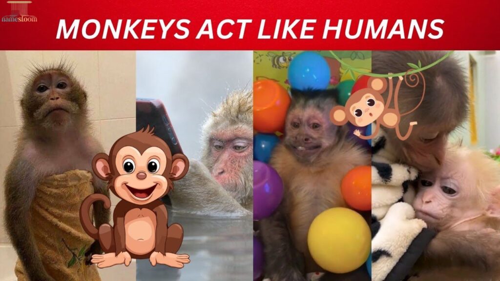 Human-Like Monkey Names