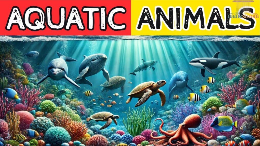 Marine & Aquatic U Animals