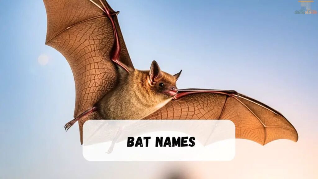 Nature-Inspired Bat Names